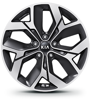 18” Alloy Wheel