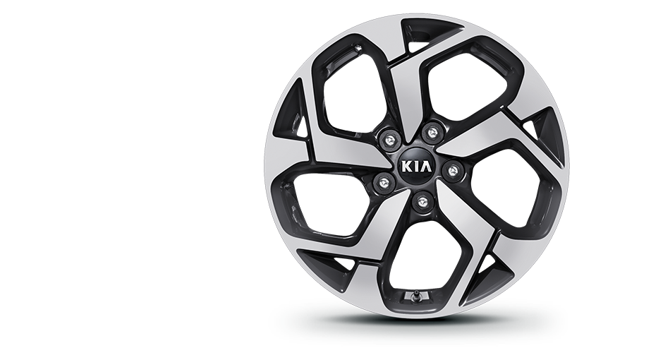 17” Alloy Wheel
