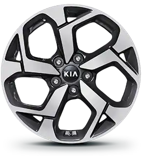 17” Alloy Wheel